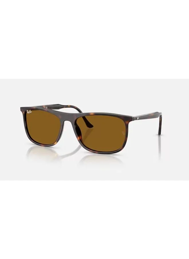 Wayfarers Sunglasses