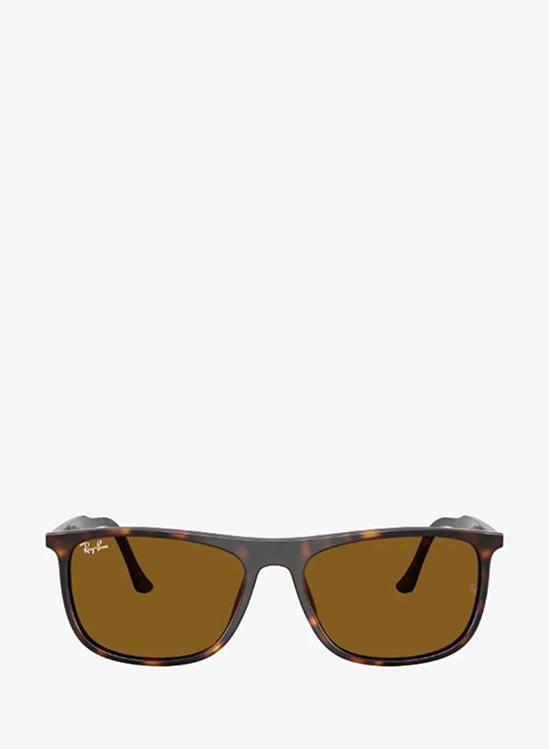 Ray-Ban Wayfarers Sunglasses