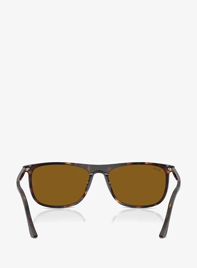 Ray-Ban Wayfarers Sunglasses