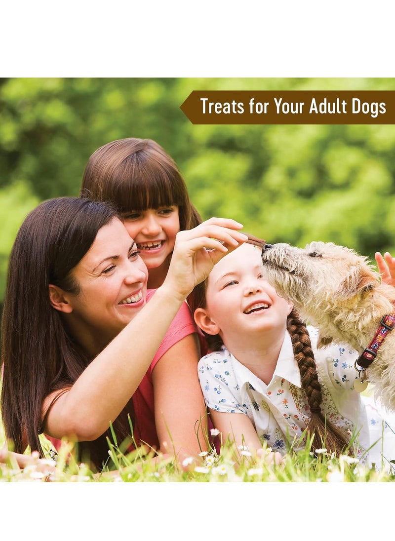 Dog Fest - Dog Fest Beef Meat Sticks for Adult Dogs Dog Treats 45g - Image 1
