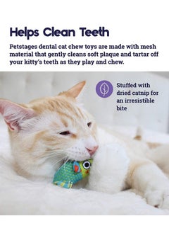 Catnip Chew Mice Dental Health Cat Toy | Infused With Catnip To Attract And Keep Your Kitty Engaged | Catnip Toys For Cats, Promotes Positive Chewing Behaviour - 17Cm - pzsku/ZA9C8A0280FD4B20153B2Z/45/_/1728309579/44c7681d-6d78-4fd6-87f1-1a0e6a2d0060