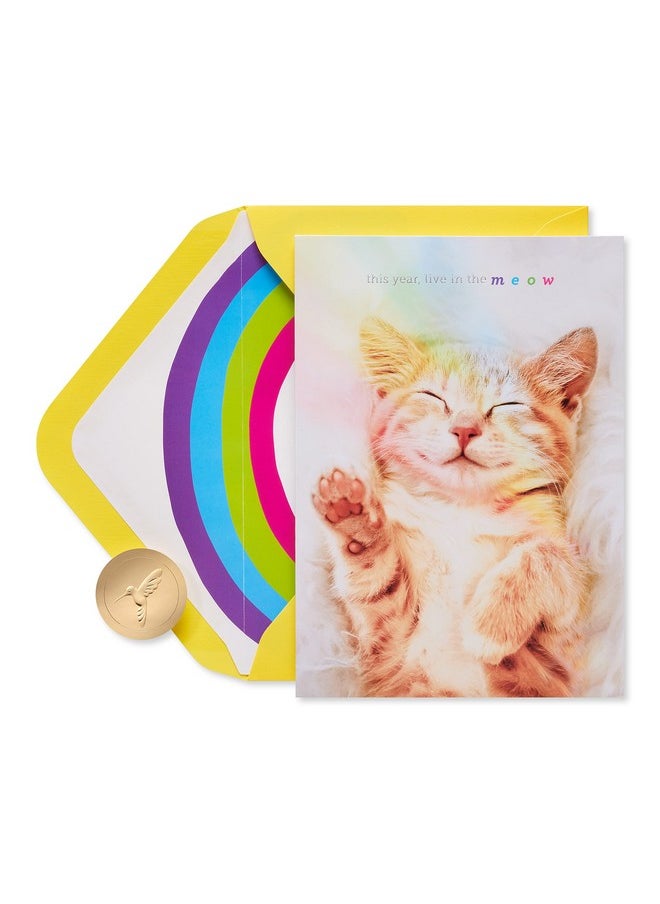 Cat Birthday Card (Happy Birthday) - pzsku/ZA9C9002C9B853EDFA5A1Z/45/_/1724477212/35c73dab-f4d0-47af-a4b1-b02e28657c61