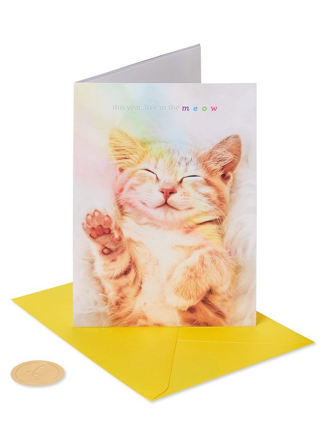 Cat Birthday Card (Happy Birthday) - pzsku/ZA9C9002C9B853EDFA5A1Z/45/_/1724477214/a1b22c5d-40bb-41a5-8f47-f6f017d79754