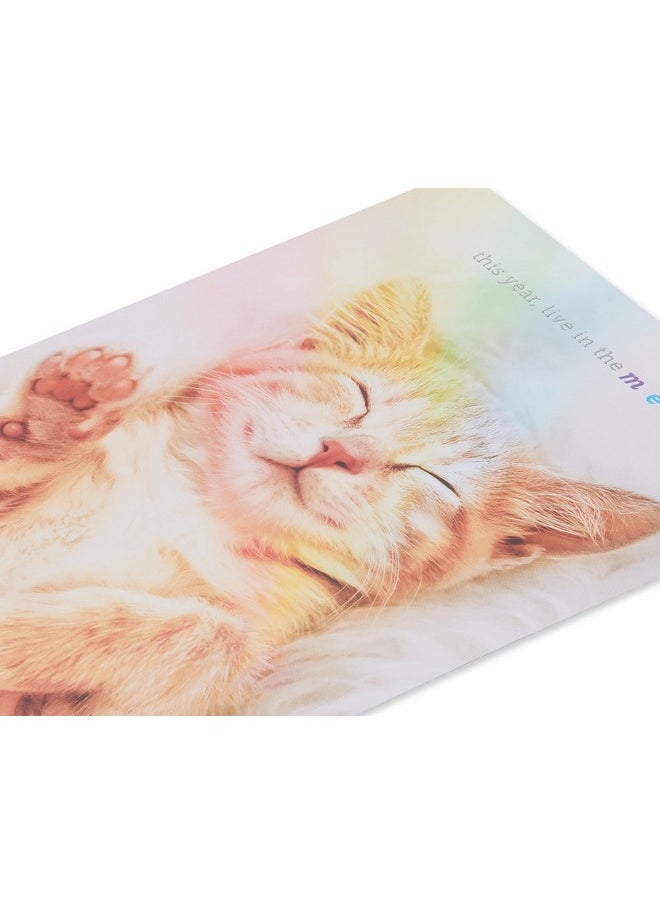 Cat Birthday Card (Happy Birthday) - pzsku/ZA9C9002C9B853EDFA5A1Z/45/_/1724477216/c5b8cd7d-22b3-48bd-81cb-beba1a0b2b1f