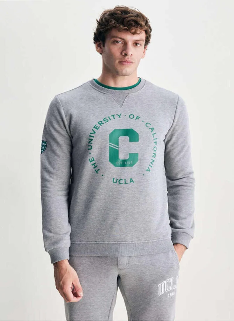 يو سي ال اي سولانو