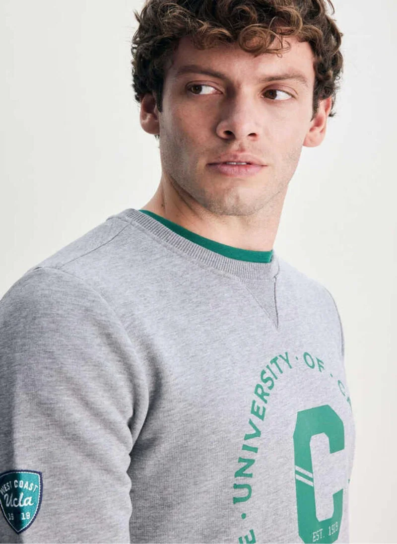 يو سي ال اي سولانو