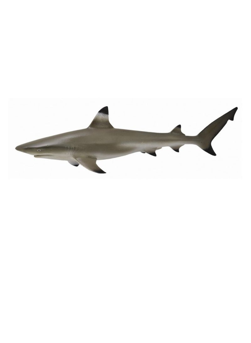 Collecta - Blacktip Reef Shark - 88726
