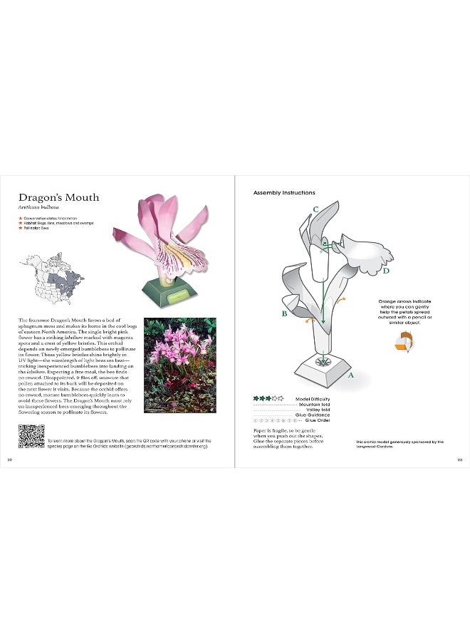 Origami Orchids Kit: 20 Beautiful Die-Cut Paper Models - pzsku/ZA9CA938DBEDBDF4A054CZ/45/_/1737873590/54334fda-dec7-431f-bfa2-b92697ff9399