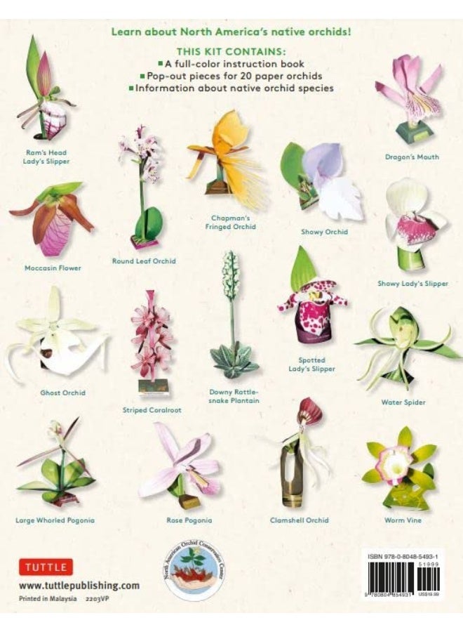 Origami Orchids Kit: 20 Beautiful Die-Cut Paper Models - Image 2