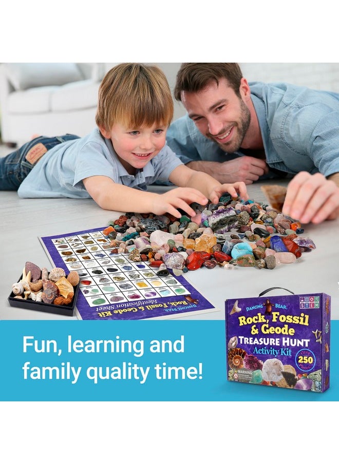 Rock, Mineral & Geodes Treasure Hunt Activity Kit (250 Pc Set) Real Shark Teeth Fossils, Id Sheet & Rock Book, Stem
