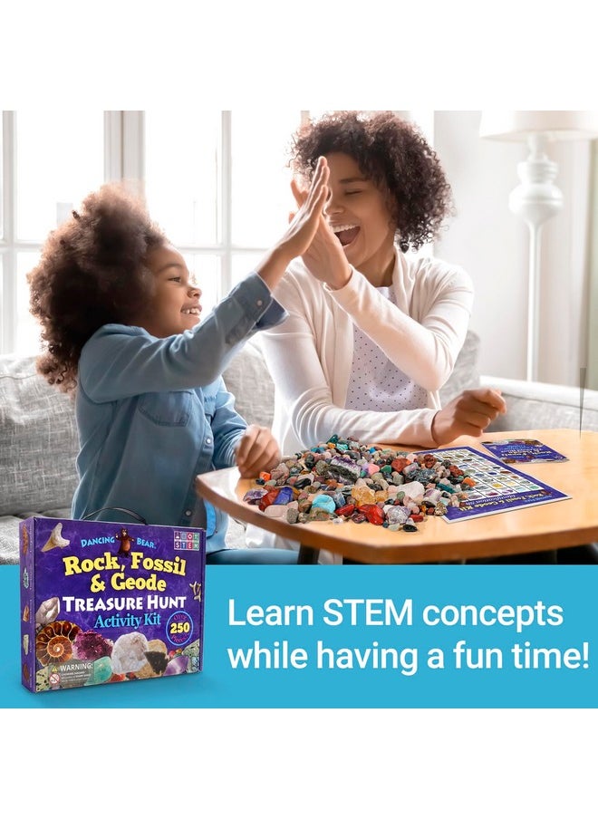 Rock, Mineral & Geodes Treasure Hunt Activity Kit (250 Pc Set) Real Shark Teeth Fossils, Id Sheet & Rock Book, Stem