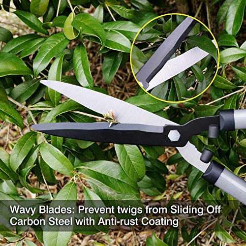 Colwelt Hedge Clippers 21'', Hedge Shears for Trimming Borders, Boxwood, and Bushes, Hedge Gardening Shears with Carbon Steel Sharp Blades & Ergonomic Comfortable Handle - Image 4