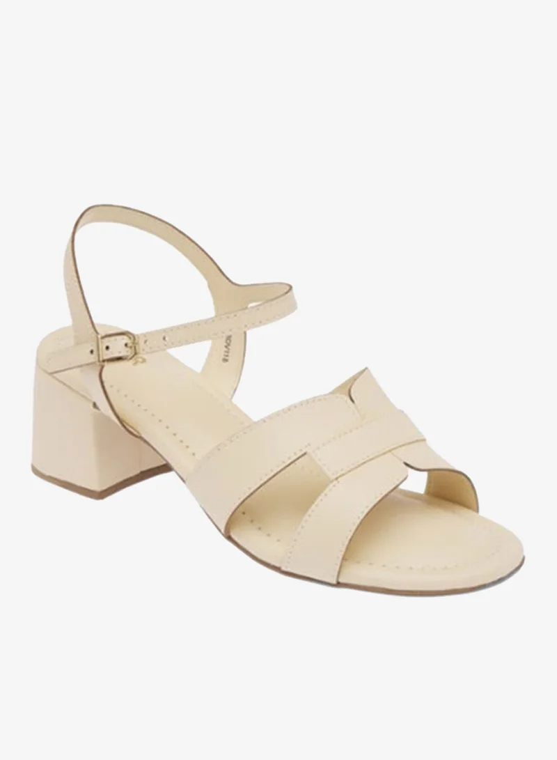 فايور بي دي في ١١٨