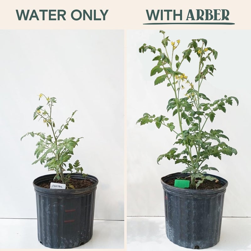 Arber Organic Plant Food – Liquid Fertilizer for Indoor & Outdoor Plants, Nutrient-Rich Formula for Growth & Protection, Houseplant & Garden Fertilizer, Liquid Concentrate for Healthy Foliage & Strong Roots - Image 5