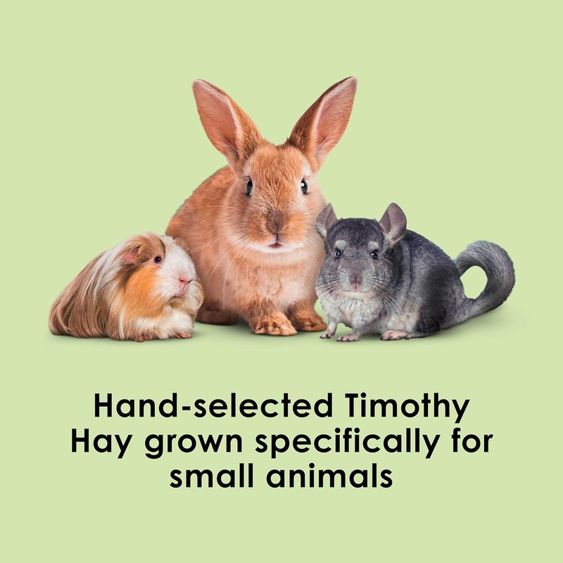 Kaytee All Natural Timothy Hay for Guinea Pigs, Rabbits & Other Small Animals, 3 Pound - Image 2