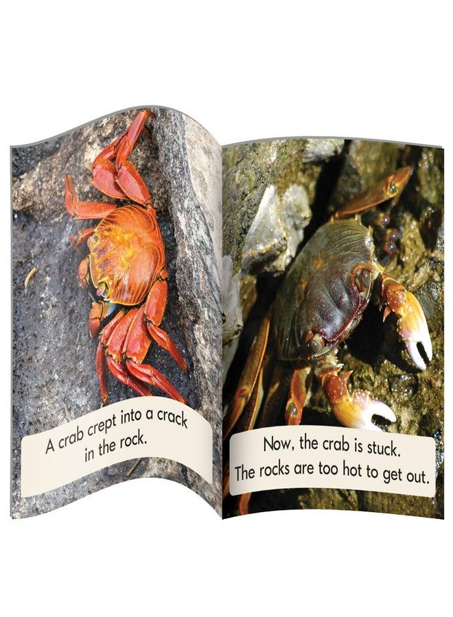 Junior Learning Blend Readers Non-Fiction Toy - Image 3