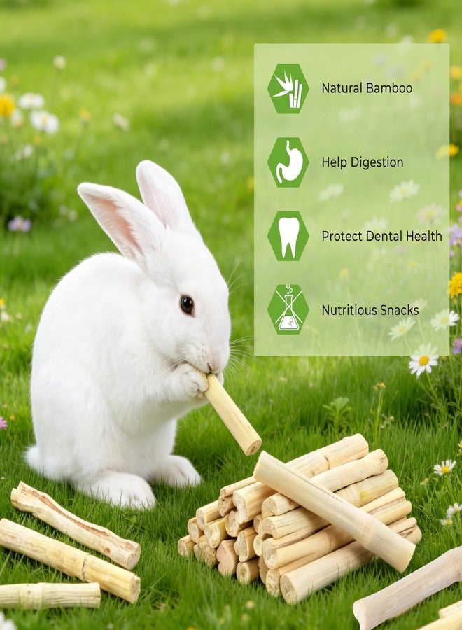 WYOMER 3lb Sweet Bamboo Chew Toy Natural Sweet Bamboo Animals Molar Chew Sticks Toys Pet Snacks Bamboo Sticks Treats - Image 4