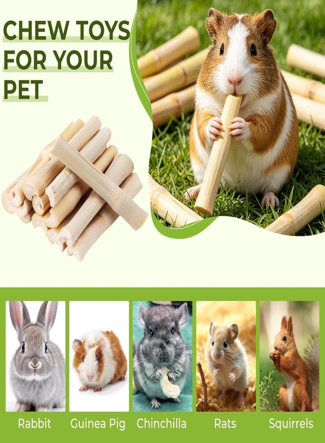 WYOMER 3lb Sweet Bamboo Chew Toy Natural Sweet Bamboo Animals Molar Chew Sticks Toys Pet Snacks Bamboo Sticks Treats - Image 2