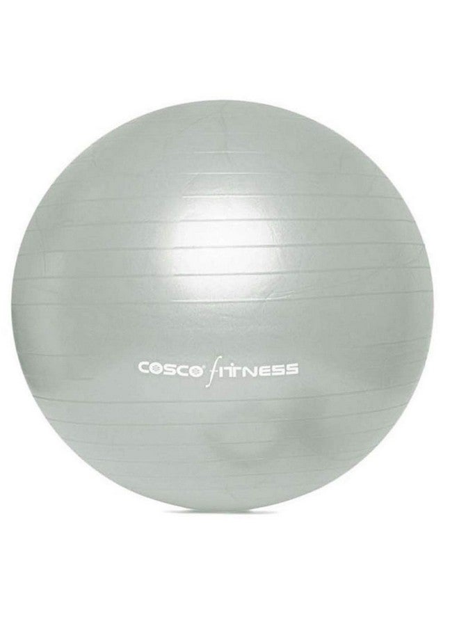 COSCO كرة جيم كوسكو (حجم 95 سم) فضي - Image 2