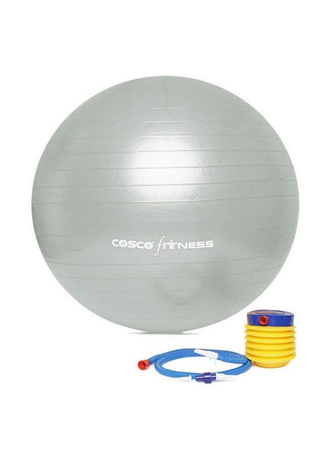 COSCO كرة جيم كوسكو (حجم 95 سم) فضي - Image 1