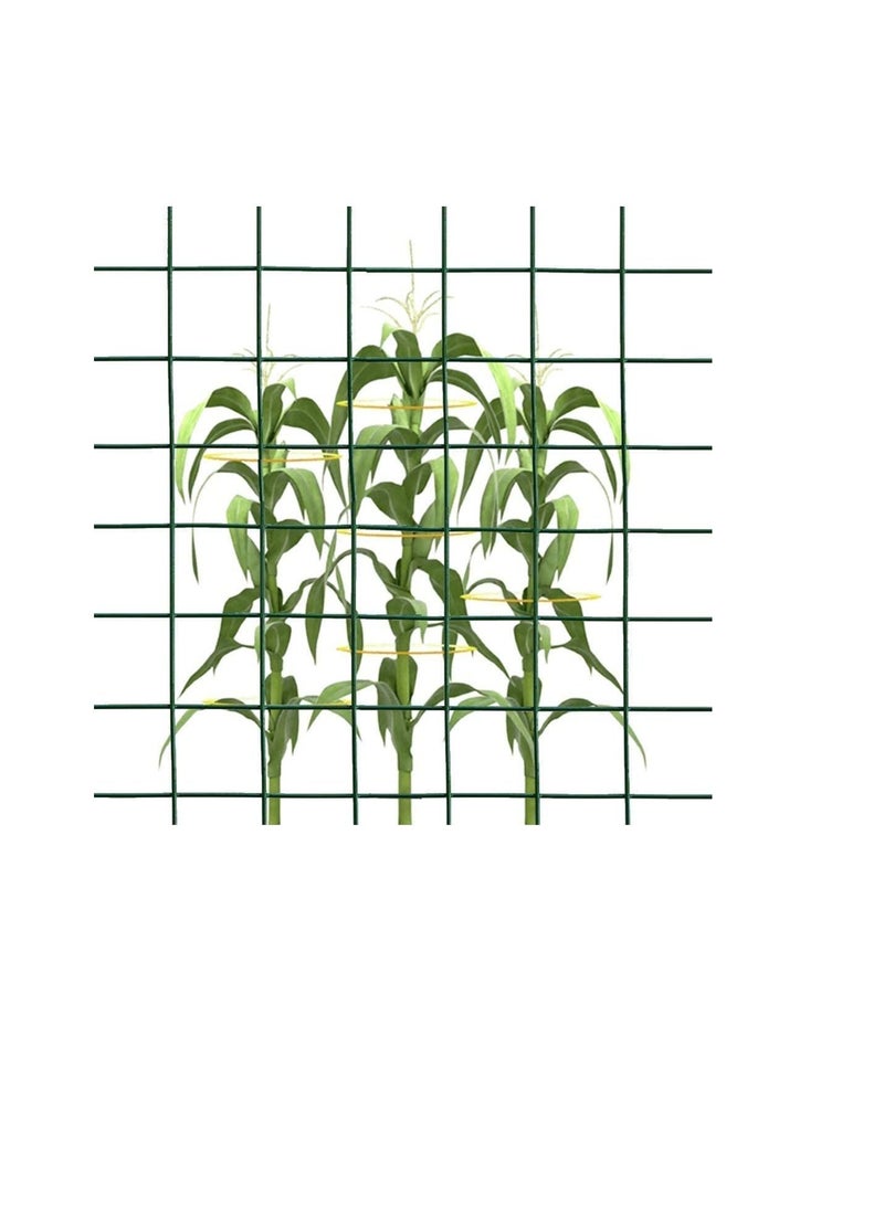 ROBUSTLINE Robustline Wire Mesh Fencing, Galvanized PVC Coated Garden Fencing, Green Steel Nets for Farming Fence, Plant Chicken Wire Fence and Animals Hen-houses Small (3.67 Mtr) (1/2" X 4FT X 12FT X 22MM)  - Image 2