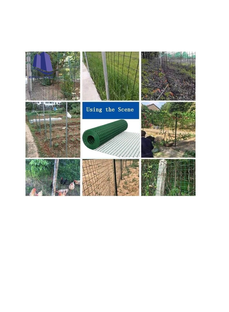 ROBUSTLINE Robustline Wire Mesh Fencing, Galvanized PVC Coated Garden Fencing, Green Steel Nets for Farming Fence, Plant Chicken Wire Fence and Animals Hen-houses Small (3.67 Mtr) (1/2" X 4FT X 12FT X 22MM)  - Image 3