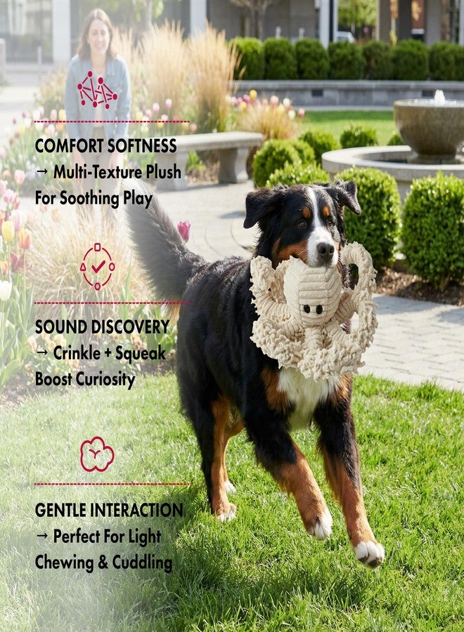 Pet Lou 9 Inch Octopus Plush Dog Toy with Squeaker & Crinkle Paper, Durable 100% Natural Nubby Plush Squeaky Toy for Indoor & Outdoor Play - Image 3