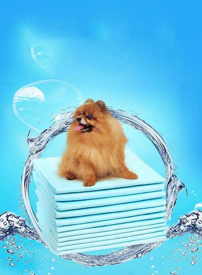 100 Pieces of Pet Diapers S Size 33*45 Affordable Large Pet Diapers Small Pet Diapers - Image 1