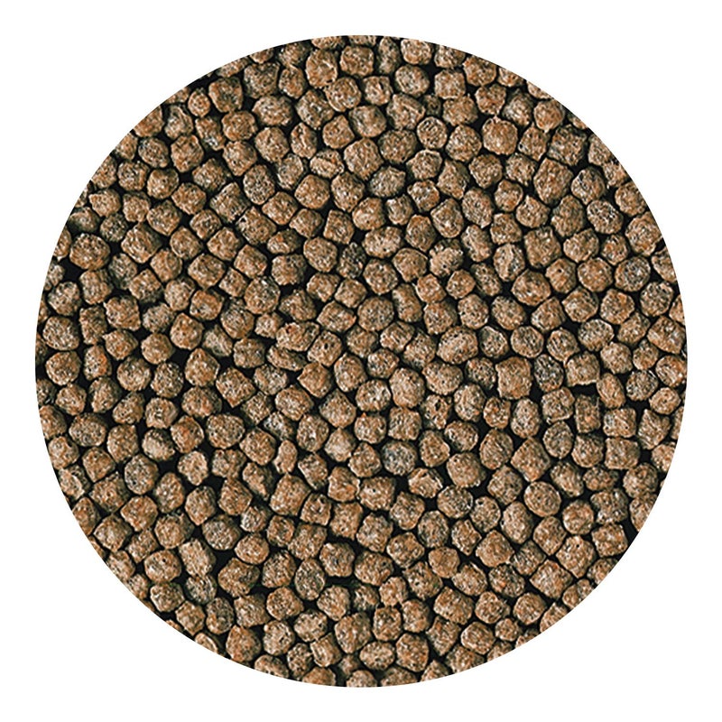 Hikari طعام سمك هيدكارى الأساسي للأطفال 3.5 أونصة - Image 4