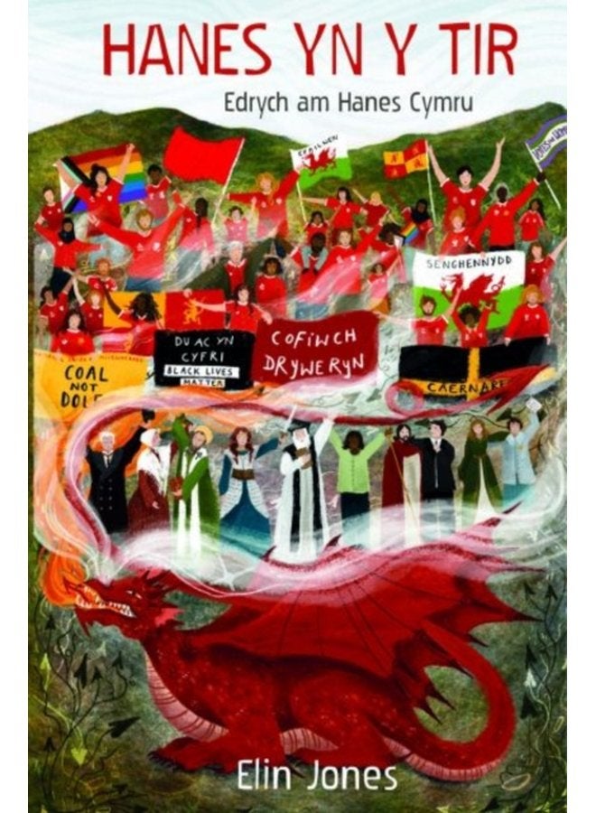 Hanes yn y Tir Hanes Gweledol Cymru o r Cromlechi i r Senedd - Hardback