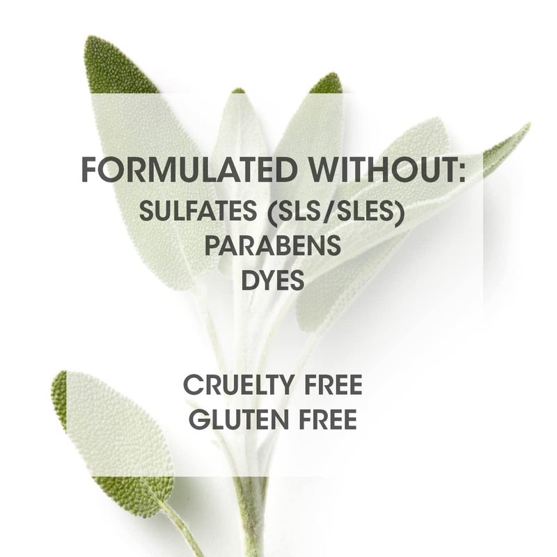 Seven شامبو SEVEN للعناية بالشعر Cubica 7 أيام للنساء والرجال وجميع أنواع الشعر، يضيف لمعانًا ورطوبة للشعر، خالي من الكبريتات والبارابين، خالي من التجارب على الحيوانات مع البيوتين + مستخلص الشاي الأخضر، صنع في الولايات المتحدة، 10.8 أونصة - Image 4