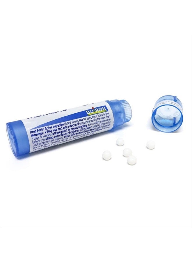 Boiron Ratanhia 30C Md 80 Pellets for Hemorrhoids Following Constipation - Image 3