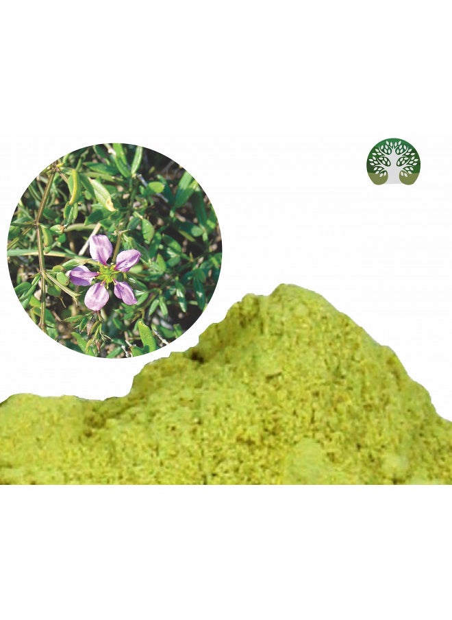 AYURVEDASHREE Fagonia cretica Powder 100 Gm | Dhamasa | Gluten Free | Non GMO | Vegan