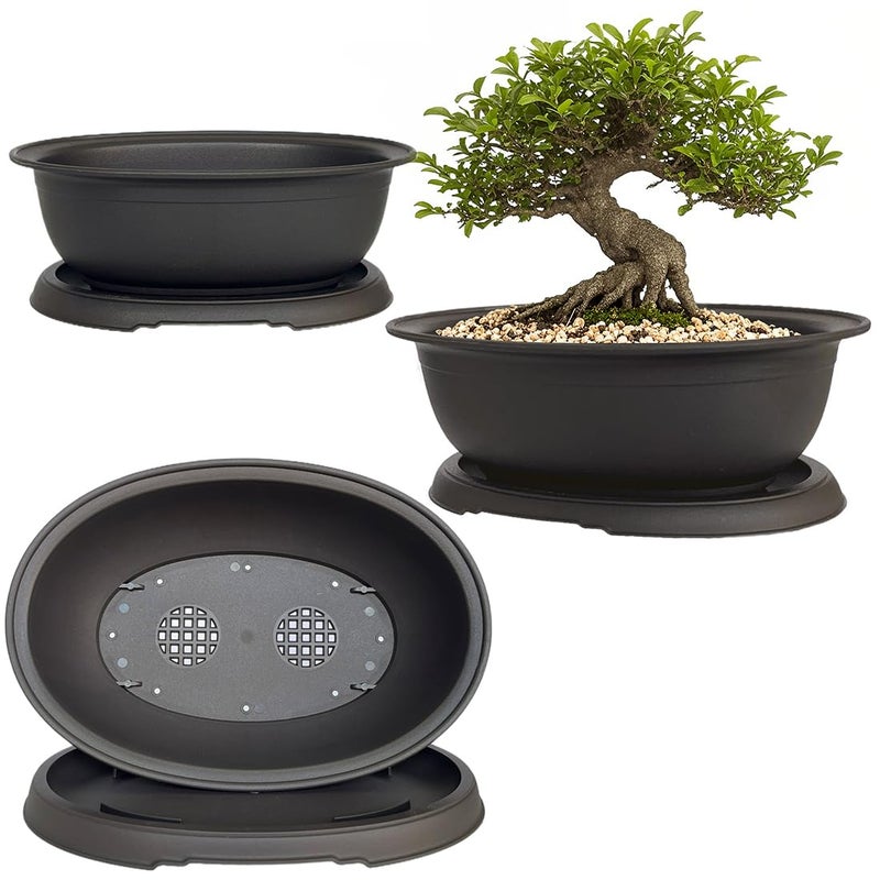 MUZHI 3 Pack Mixed Size Oval Bonsai Planter Pot with Drainage Tray, Matte Finish Ellipse Plastic Bonsai Succulent Growing Pot for Home Garden Plant Container 9.1â€ 7.2â€ 5.2â€ - Image 1