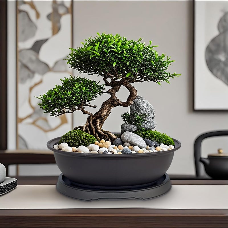 MUZHI 3 Pack Mixed Size Oval Bonsai Planter Pot with Drainage Tray, Matte Finish Ellipse Plastic Bonsai Succulent Growing Pot for Home Garden Plant Container 9.1â€ 7.2â€ 5.2â€ - Image 5
