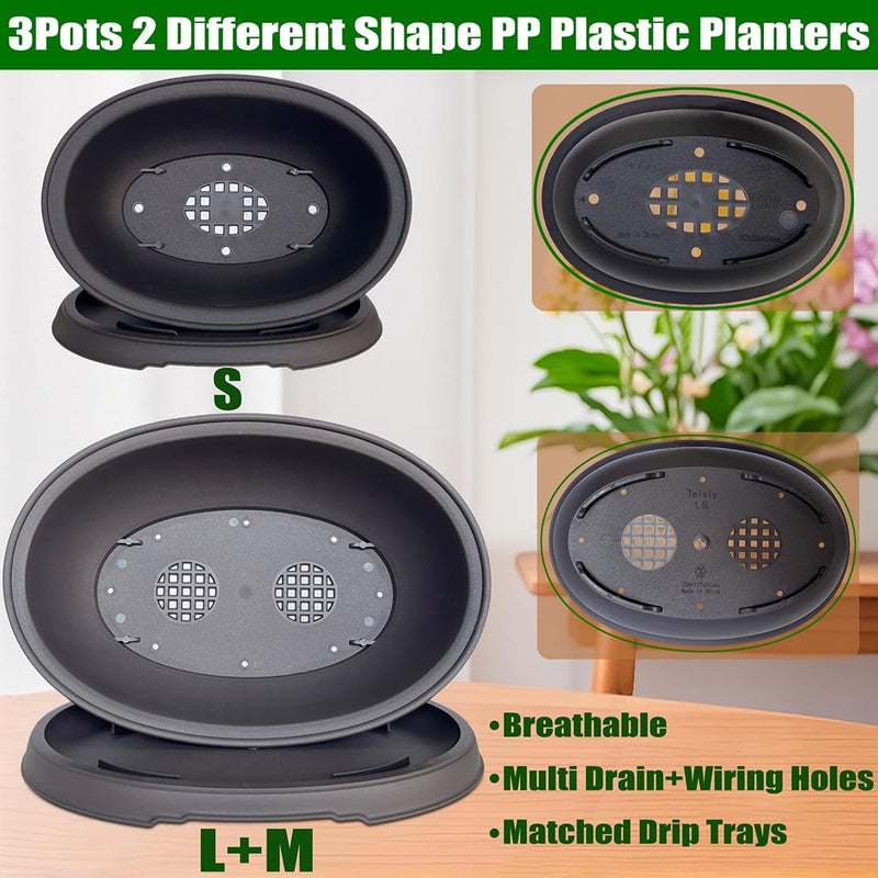 MUZHI 3 Pack Mixed Size Oval Bonsai Planter Pot with Drainage Tray, Matte Finish Ellipse Plastic Bonsai Succulent Growing Pot for Home Garden Plant Container 9.1â€ 7.2â€ 5.2â€ - Image 3