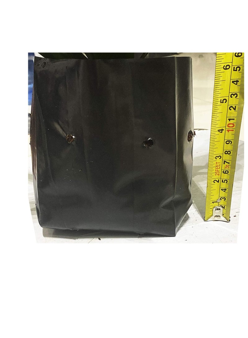 Generic Seeding Bags Small Plant Grow Bags Plastic Seedling Raising Pots Gardening Supply for Home Garden | 100 Pcs  - Image 3