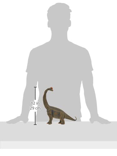 CollectA Prehistoric Life Brachiosaurus Deluxe 1:40 Scale Dinosaur Figure - Authentic Hand Painted Model - Image 3