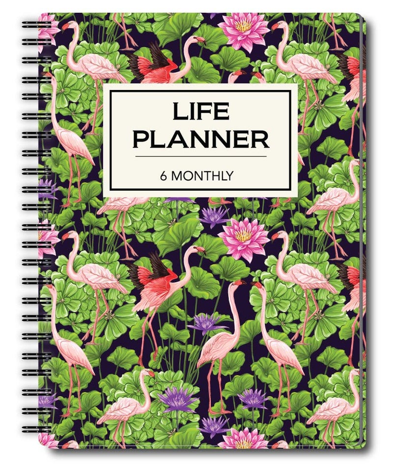 Nourish A5 Life Planner for 6 Months Undated Hardcover, Includes Monthly, Daily, Fitness and Financial Planner - Image 1