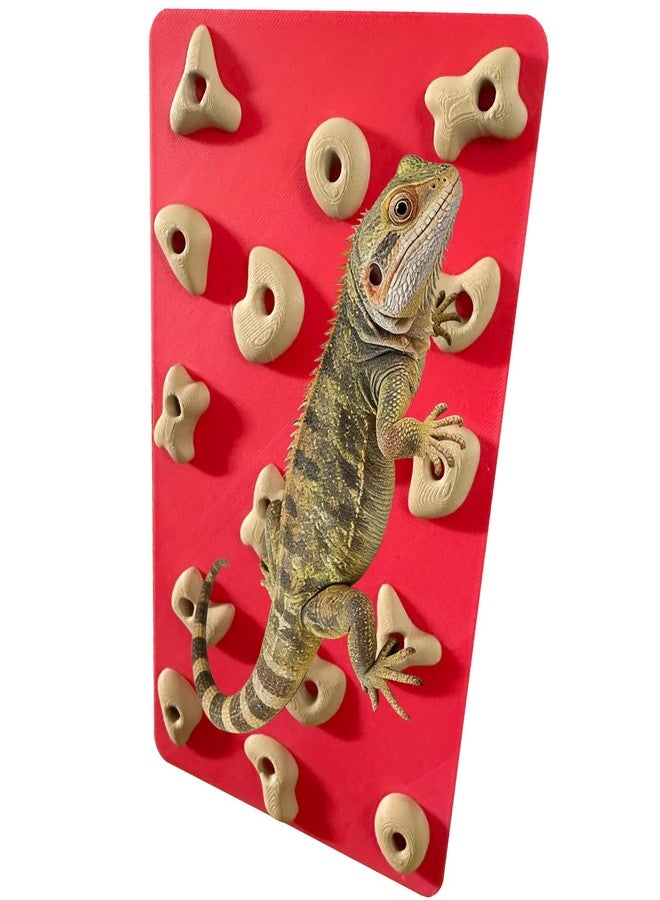 Okueejur Mini Reptile Rock Climbing Wall, Terrarium Enclosure Enrichment & Habitat Décor for Bearded Dragons, Geckos, Lizards, Snakes, Tree Frogs and Small Amphibians (Red & Beige) - Image 1