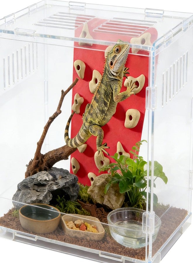Okueejur Mini Reptile Rock Climbing Wall, Terrarium Enclosure Enrichment & Habitat Décor for Bearded Dragons, Geckos, Lizards, Snakes, Tree Frogs and Small Amphibians (Red & Beige) - Image 5