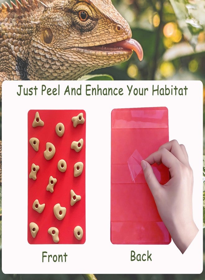 Okueejur Mini Reptile Rock Climbing Wall, Terrarium Enclosure Enrichment & Habitat Décor for Bearded Dragons, Geckos, Lizards, Snakes, Tree Frogs and Small Amphibians (Red & Beige) - Image 4