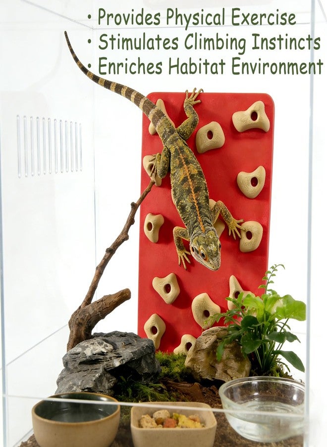 Okueejur Mini Reptile Rock Climbing Wall, Terrarium Enclosure Enrichment & Habitat Décor for Bearded Dragons, Geckos, Lizards, Snakes, Tree Frogs and Small Amphibians (Red & Beige) - Image 2