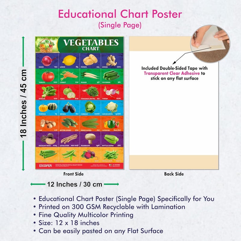 ESCAPER لوحات تعليمية للخضروات للأطفال، لوحات لتعلم الأطفال (11.5 × 17.5 بوصة)، مواد دراسية للأطفال، كتب تعليمية للأطفال، ملصقات تعليمية - Image 3