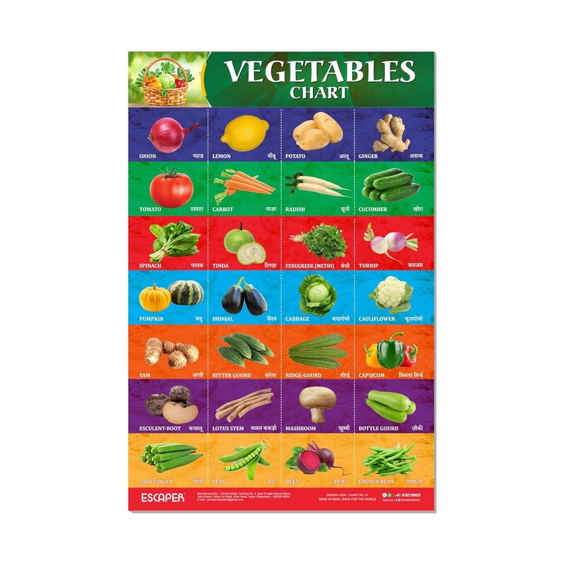 ESCAPER لوحات تعليمية للخضروات للأطفال، لوحات لتعلم الأطفال (11.5 × 17.5 بوصة)، مواد دراسية للأطفال، كتب تعليمية للأطفال، ملصقات تعليمية - Image 1