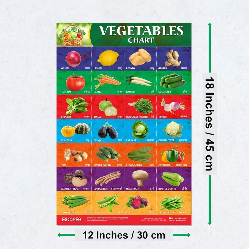 ESCAPER لوحات تعليمية للخضروات للأطفال، لوحات لتعلم الأطفال (11.5 × 17.5 بوصة)، مواد دراسية للأطفال، كتب تعليمية للأطفال، ملصقات تعليمية - Image 2