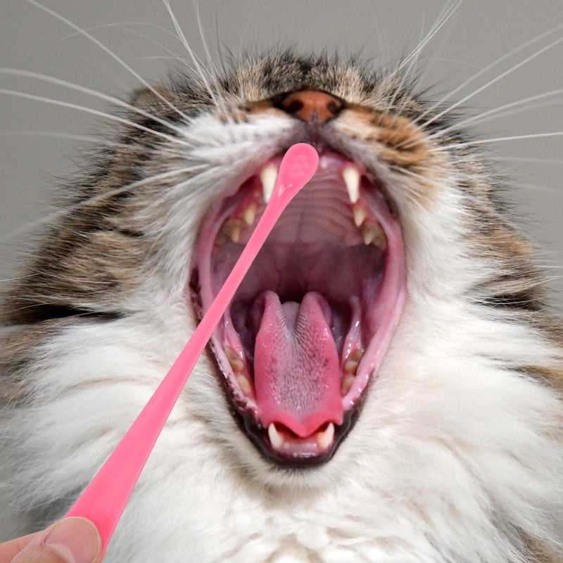 🐾 فرشاة أسنان للكلاب للحيوانات الأليفة مقبض طويل وفرشاة مضغوطة للقضاء على رائحة الفم الكريهة 7 قطع - Image 3