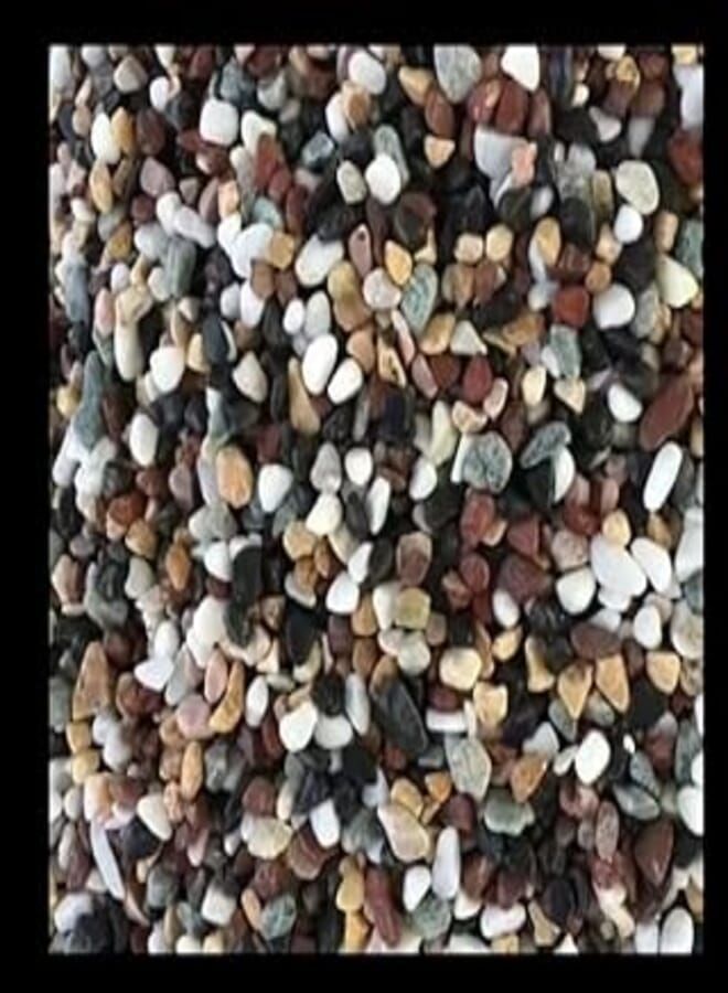 Aquarium Gravels (Mix Color, 500 Gr)