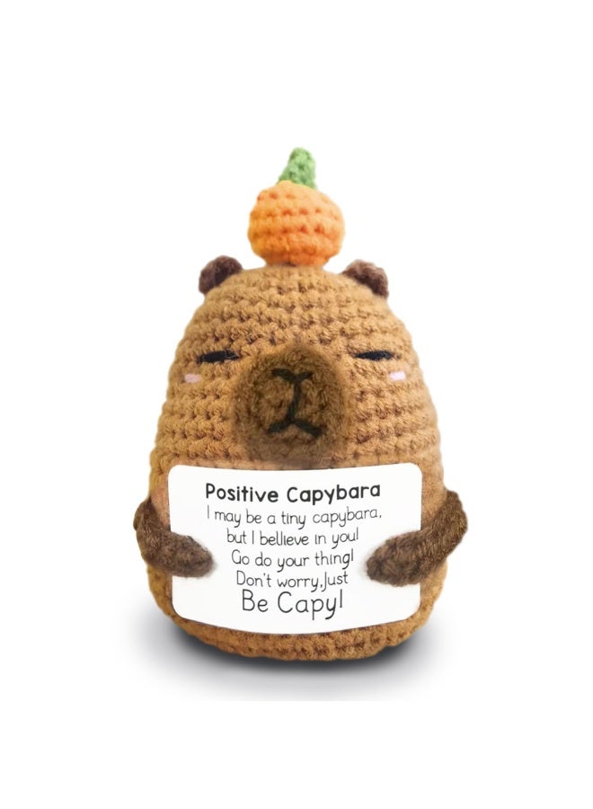 Peachjoy Positive Crochet Capybara Inspirational Gifts, Handmade Capybara Plush Emotional Uplifting Support Animals Decor, Cute Birthday Gifts for Women Men Coworker - Image 1