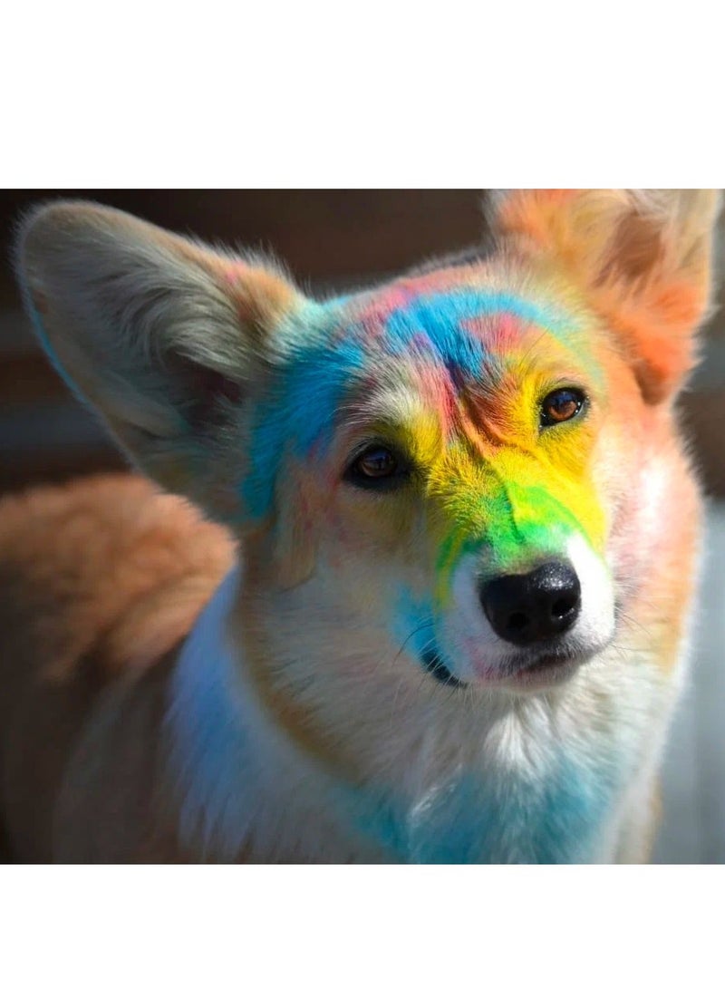 Holi Like Green Powder Set – 3 Packs, 100% Natural, Hypoallergenic, Safe for Kids (4+), Non-Staining, Pet-Friendly, Premium Quality Holi Colors for Celebrations  - Image 3